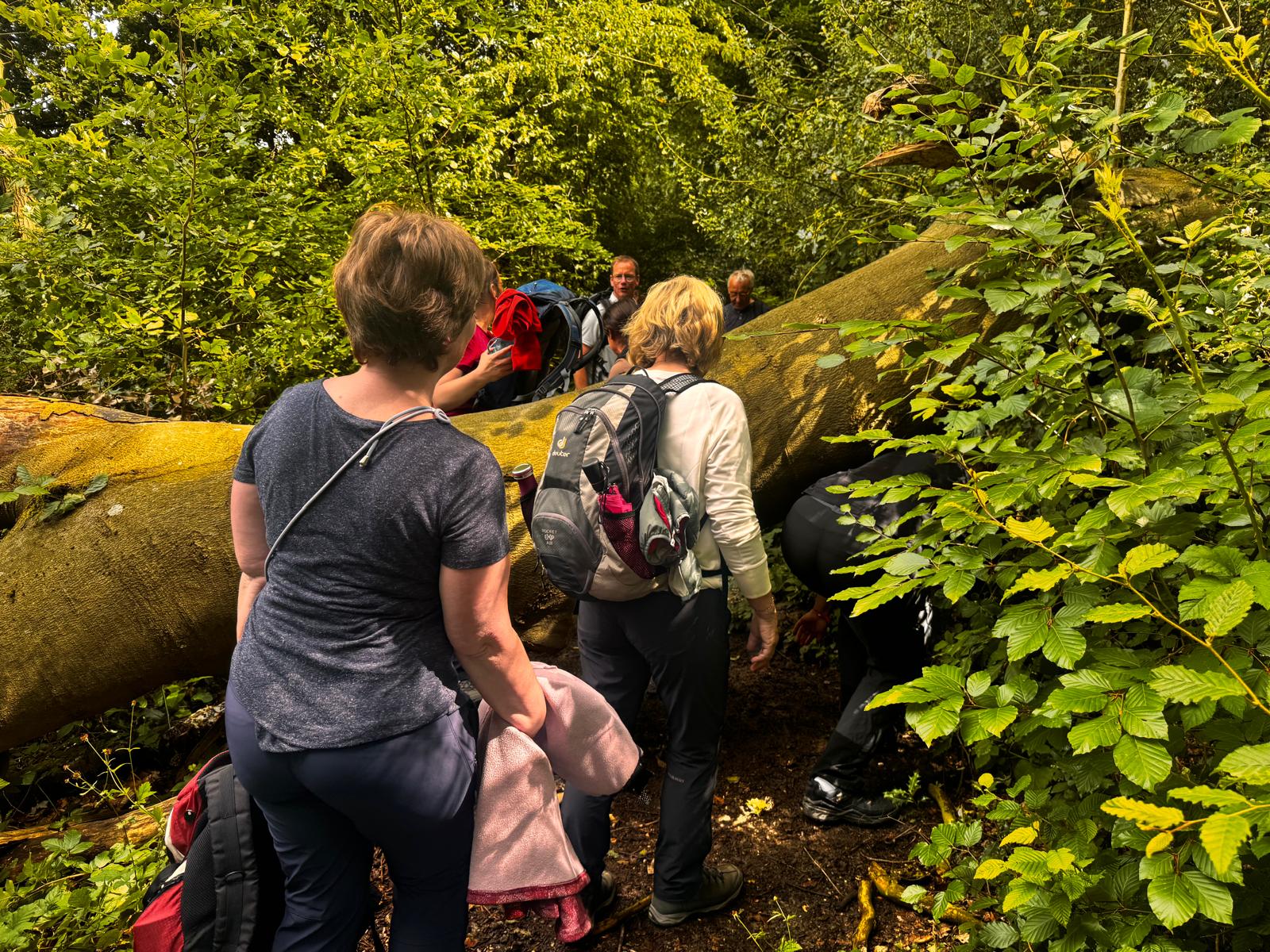 Wandern 2.0 bei Schwarz-Weiß Esch – Foto 39