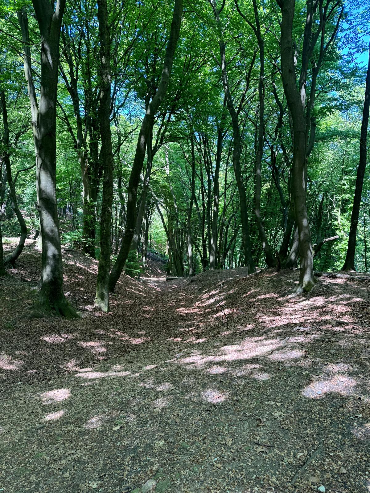 Wandern 2.0 bei Schwarz-Weiß Esch – Foto 5