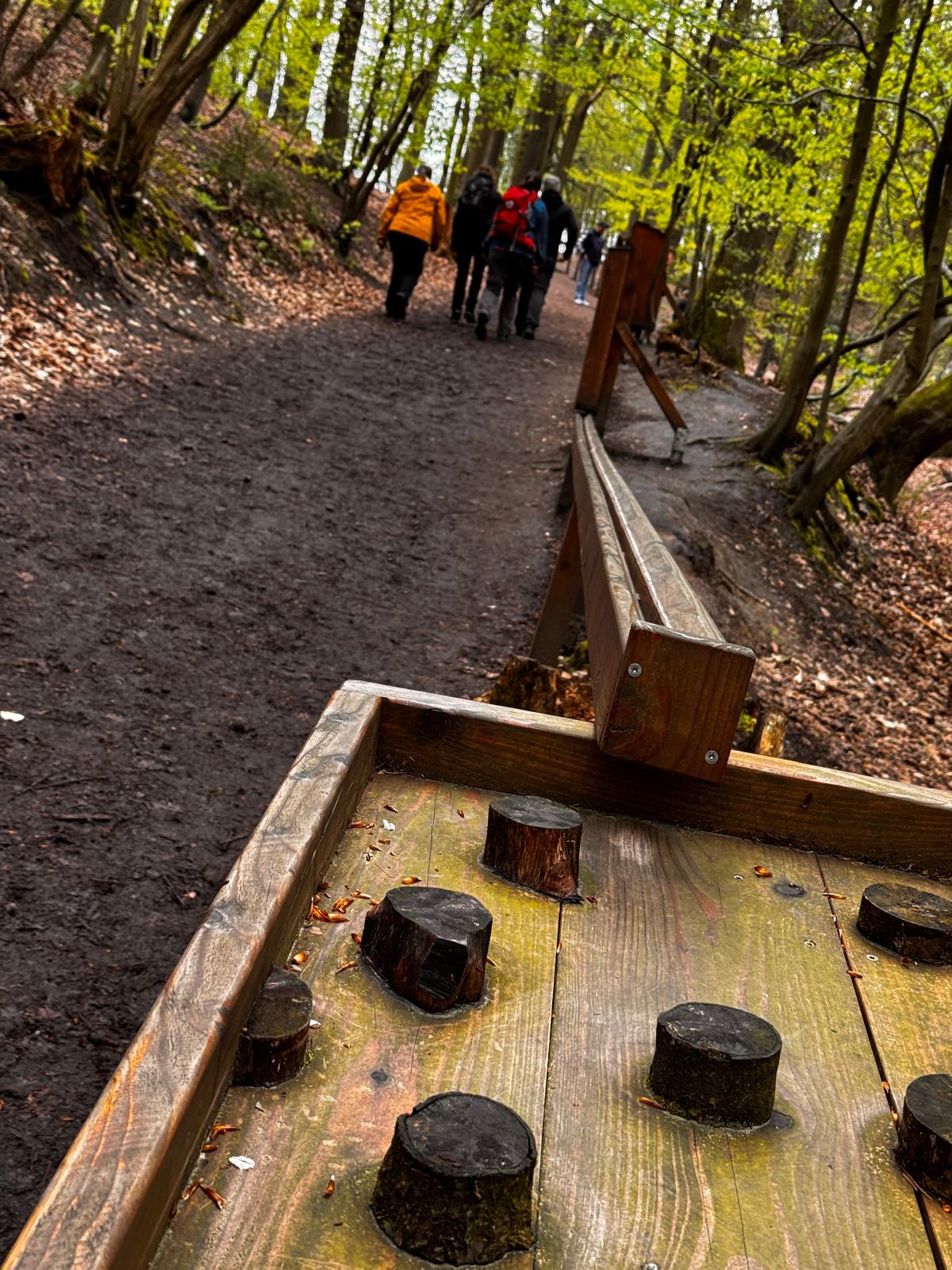 Wandern 2.0 bei Schwarz-Weiß Esch – Foto 29