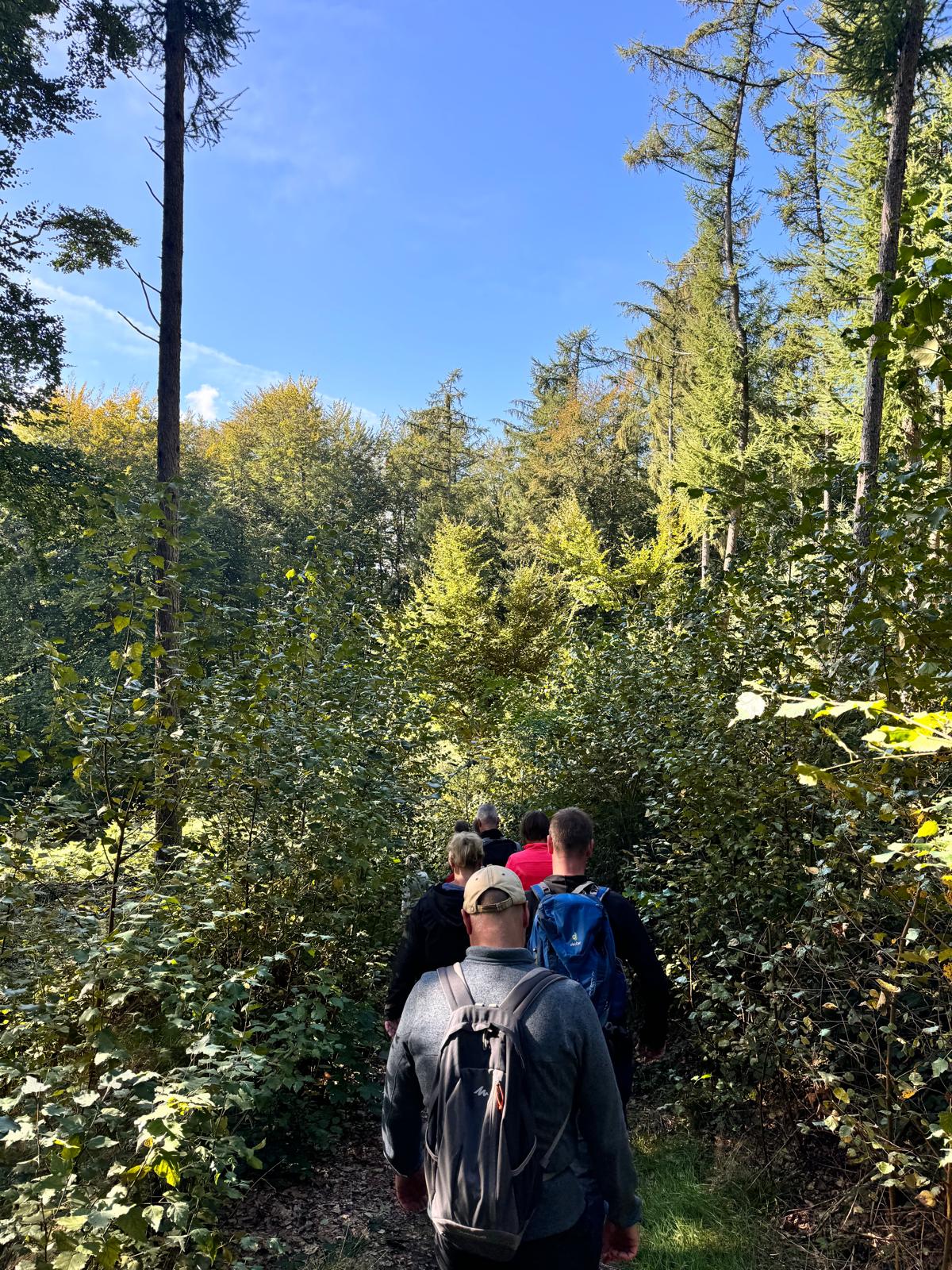 Wanderweg im Tecklenburger Land